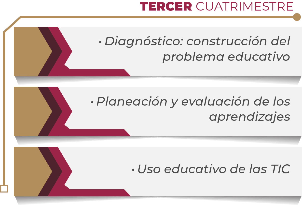 MAPA CURRICULAR GESTIÓN